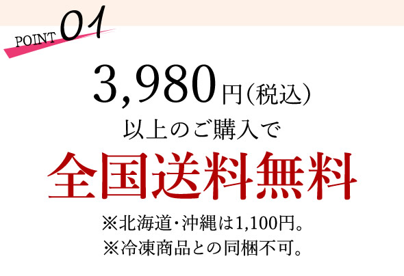3980円以上のご購入で全国送料無料