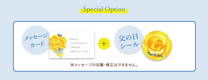SpecialOption