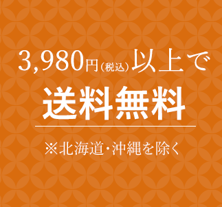 3980円以上で送料無料