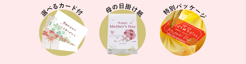 選べるカード付き　母の日掛け紙　特別パッケージ