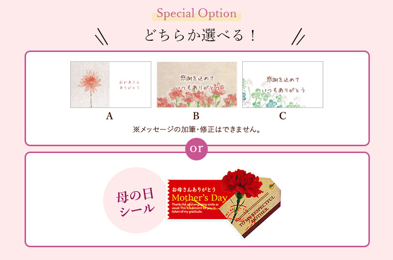 どちらか選べる